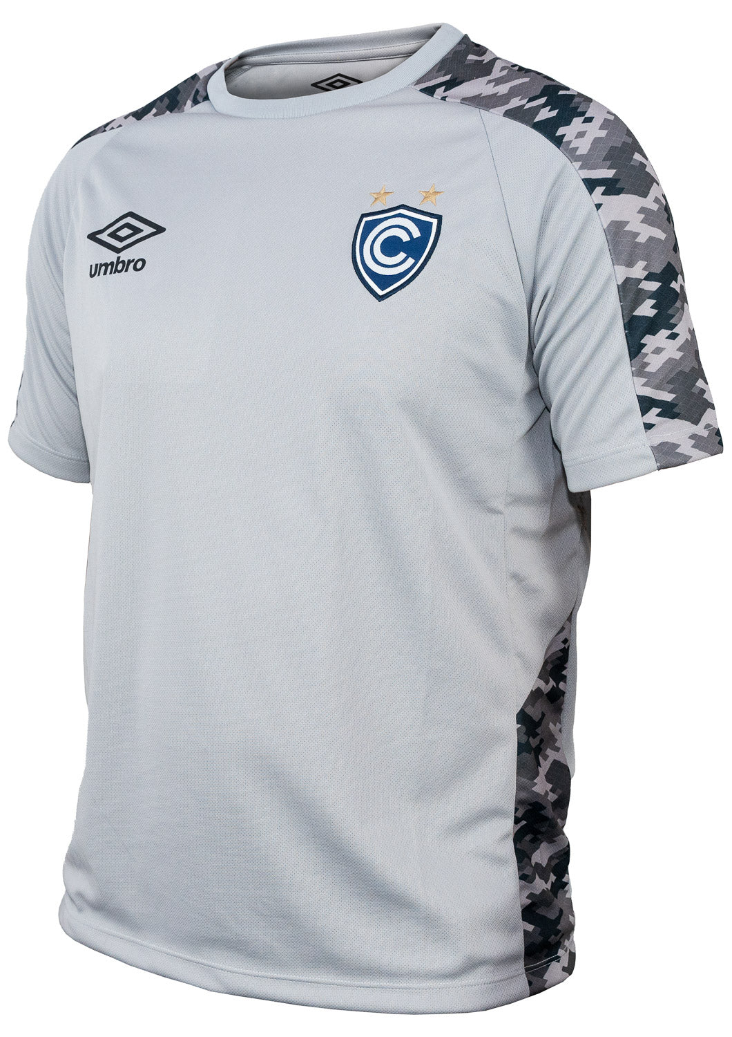 CAMISETA ENTRENAMIENTO GRIS