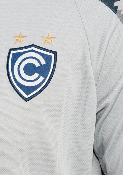 CAMISETA ENTRENAMIENTO GRIS