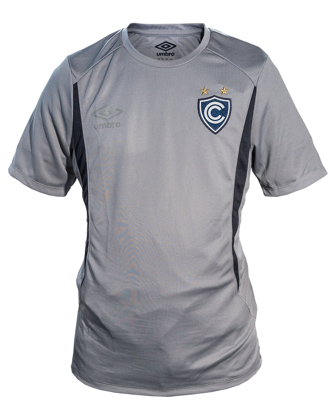 CAMISETA ENTRENAMIENTO GRIS 2026