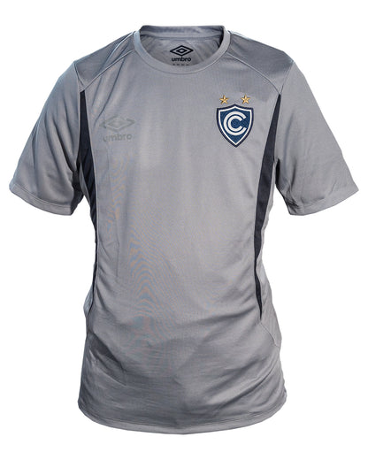 CAMISETA ENTRENAMIENTO GRIS 2026