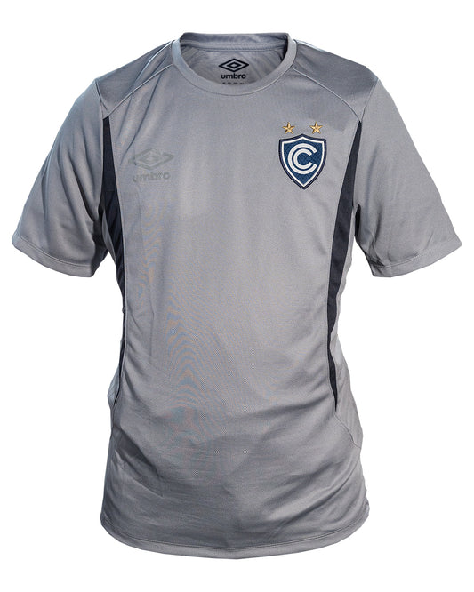 CAMISETA ENTRENAMIENTO GRIS 2026